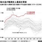 レス12番のサムネイル画像