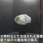 レス1番のサムネイル画像