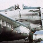 レス5番のサムネイル画像