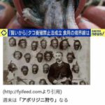 レス1番のサムネイル画像