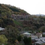 レス3番のサムネイル画像