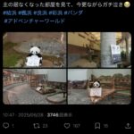 レス1番のサムネイル画像