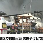 レス3番のサムネイル画像