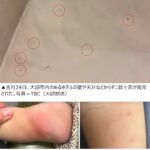 レス1番のサムネイル画像