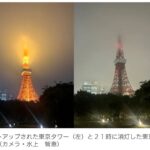 レス1番のサムネイル画像