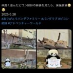 レス1番のサムネイル画像