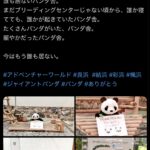 レス1番のサムネイル画像