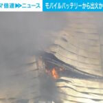 レス3番のサムネイル画像