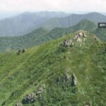 レス1番のリンク先のサムネイル画像