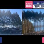 レス1番のリンク先のサムネイル画像