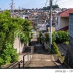 レス5番の画像2