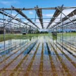 レス3番の画像1