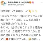 レス1番の画像1