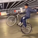 レス1番のリンク先のサムネイル画像