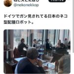 レス6番の画像8