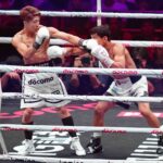 レス1番のリンク先のサムネイル画像