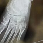 レス1番の画像3