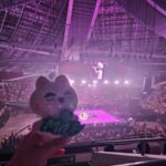 レス19番の画像1