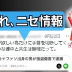 レス1番のリンク先のサムネイル画像