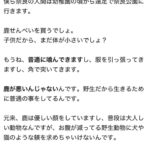 レス1番の画像2