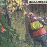 レス1番のリンク先のサムネイル画像