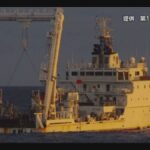 レス1番のリンク先のサムネイル画像