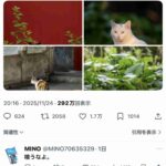 レス1番の画像1