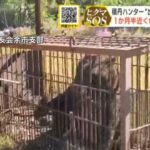 レス1番のリンク先のサムネイル画像