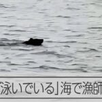 レス1番のリンク先のサムネイル画像