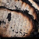 レス3番の画像1