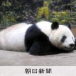 レス1番のリンク先のサムネイル画像