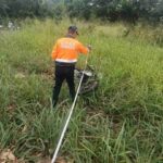 レス2番の画像2