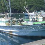 レス1番のリンク先のサムネイル画像