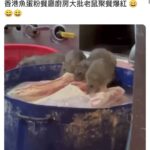 レス1番の画像1