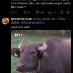 レス2番の画像3