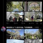 レス1番の画像8