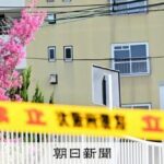 レス1番のリンク先のサムネイル画像