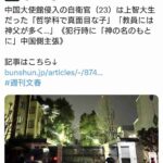 レス1番の画像1