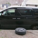 レス1番のリンク先のサムネイル画像