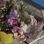 レス2番の画像1