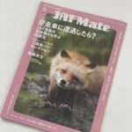 レス2番の画像2