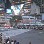 レス14番のリンク先のサムネイル画像