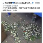 レス1番の画像1