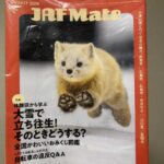 レス2番の画像3