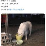 レス1番の画像4