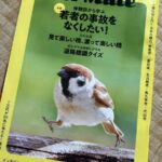 レス2番の画像1