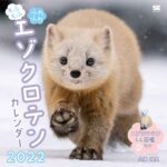 レス29番の画像1