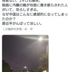 レス1番の画像1