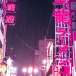 レス6番の画像3