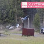 レス1番のリンク先のサムネイル画像